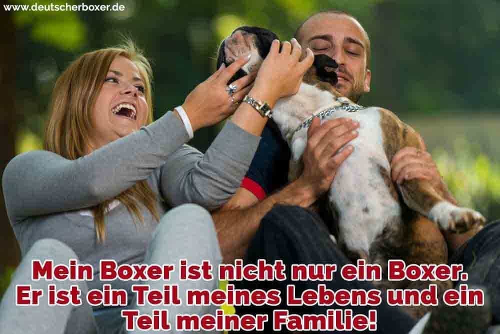 Eine Familie umarmt ihren Boxer