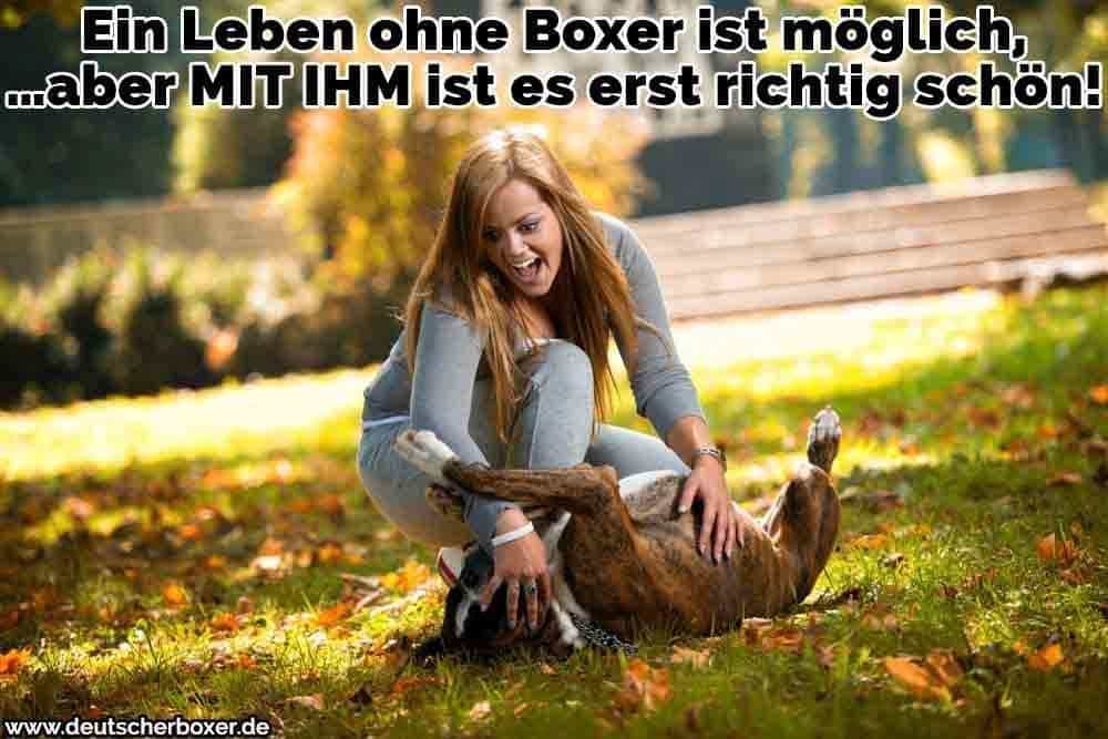 Eine Frau streichelt ihren Boxer im Park