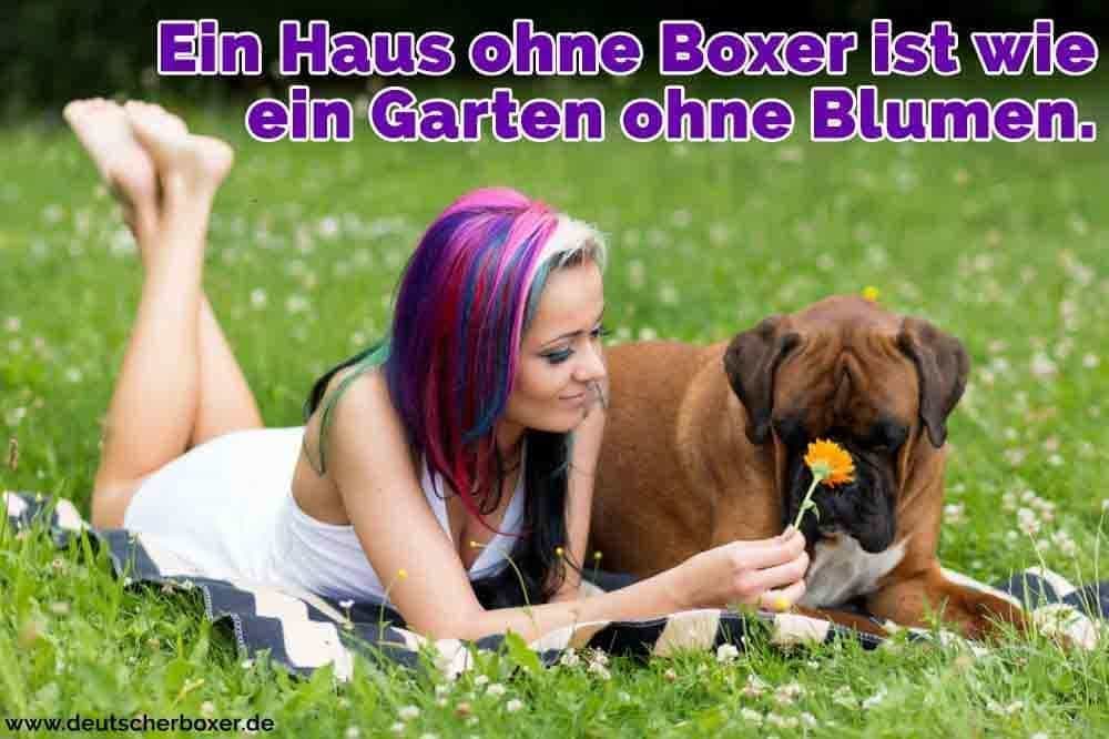 Eine Frau im Park mit Ihrem Boxer liegend