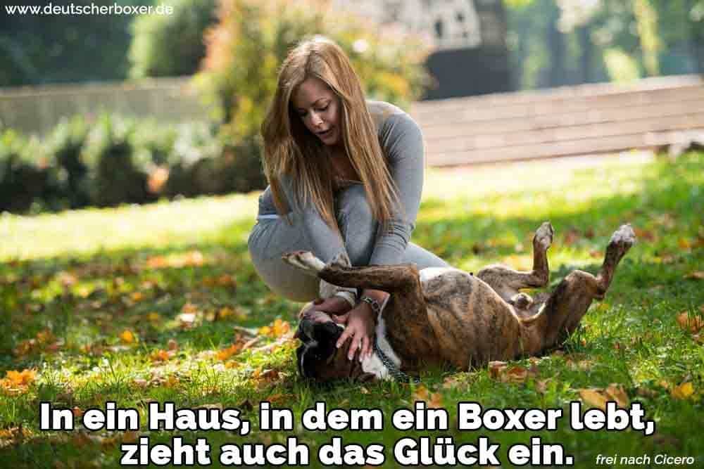 Eine Frau streichelt ihren Boxer im Park