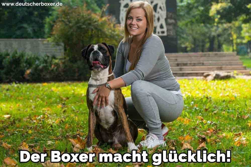 Eine Frau und ihre Boxer im Park