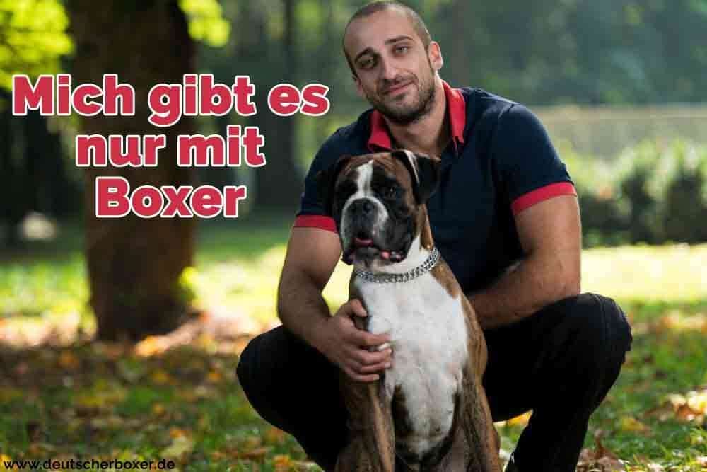 Ein Mann und seine Boxer im Gras