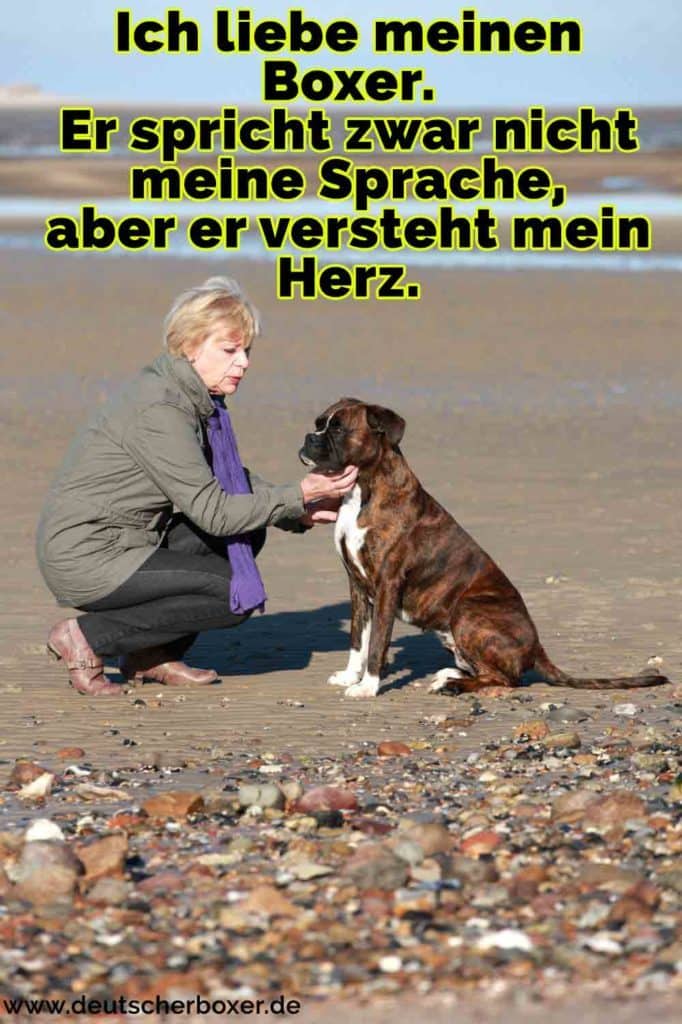 Eine Frau streichelt ihren Boxer am Strand