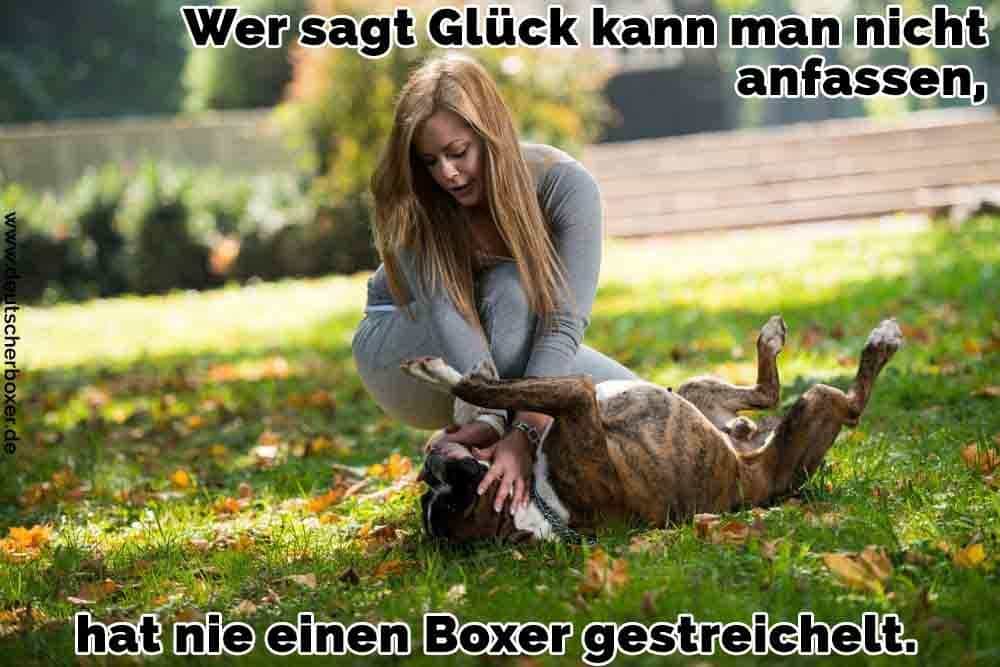 Eine Frau streichelt ihren Boxer im Park