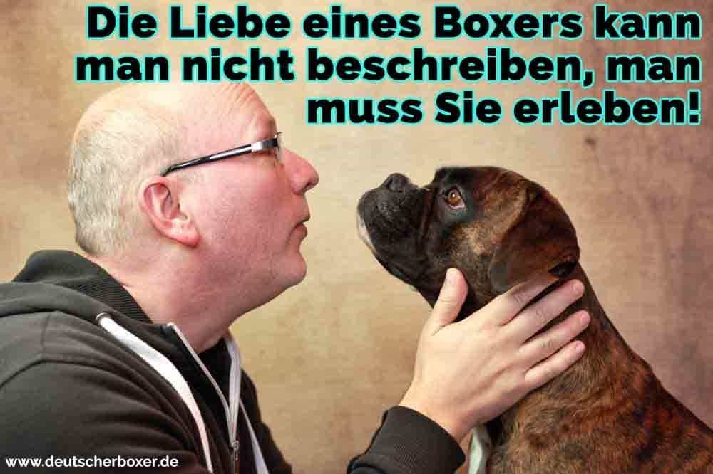 Ein Mann mit seinem Boxer sprechen