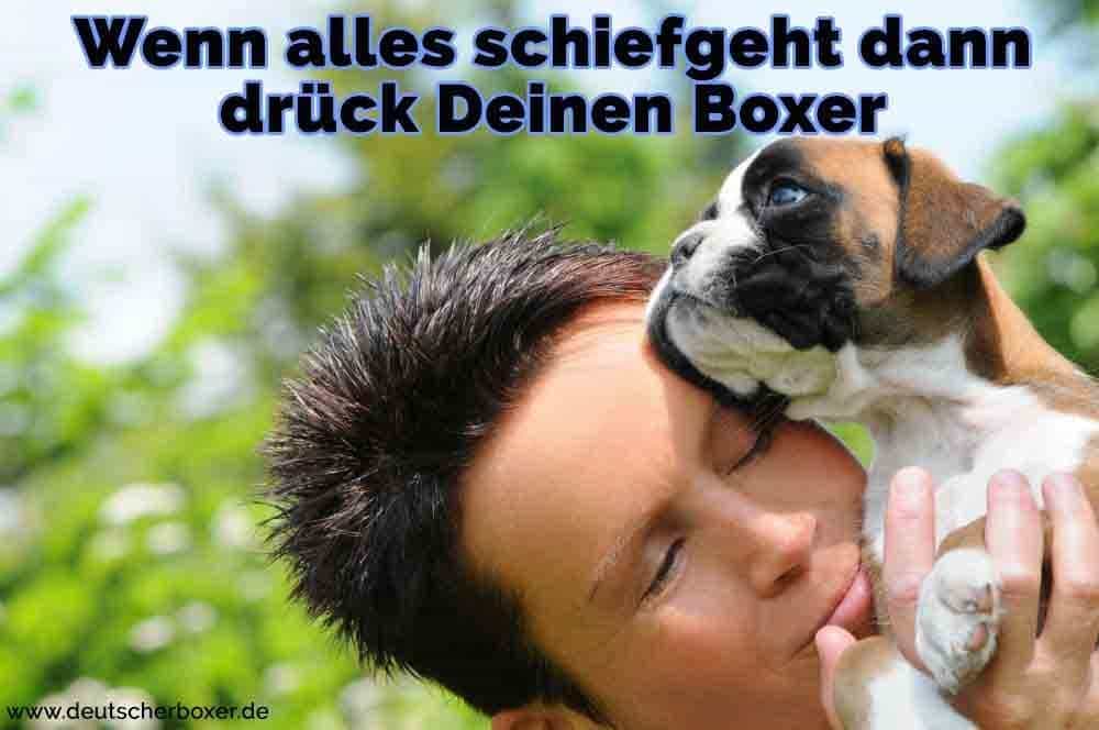 Ein Junge umarmt seine Boxer