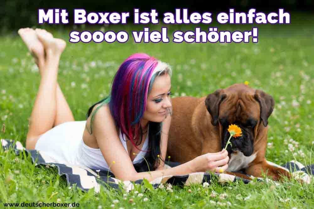 Eine Frau im Park mit Ihrem Boxer liegend