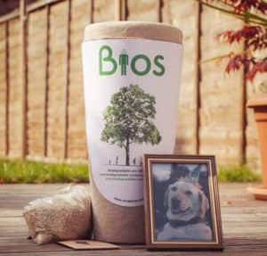 Welche Vorschriften gibt es um den Hund im Garten zu begraben?