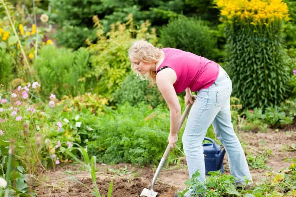 Welche Vorschriften gibt es um den Hund im Garten zu begraben?