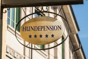 Hundepension Deutscher Boxer