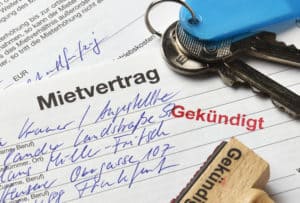 Hundehaltung - Mietvertrag