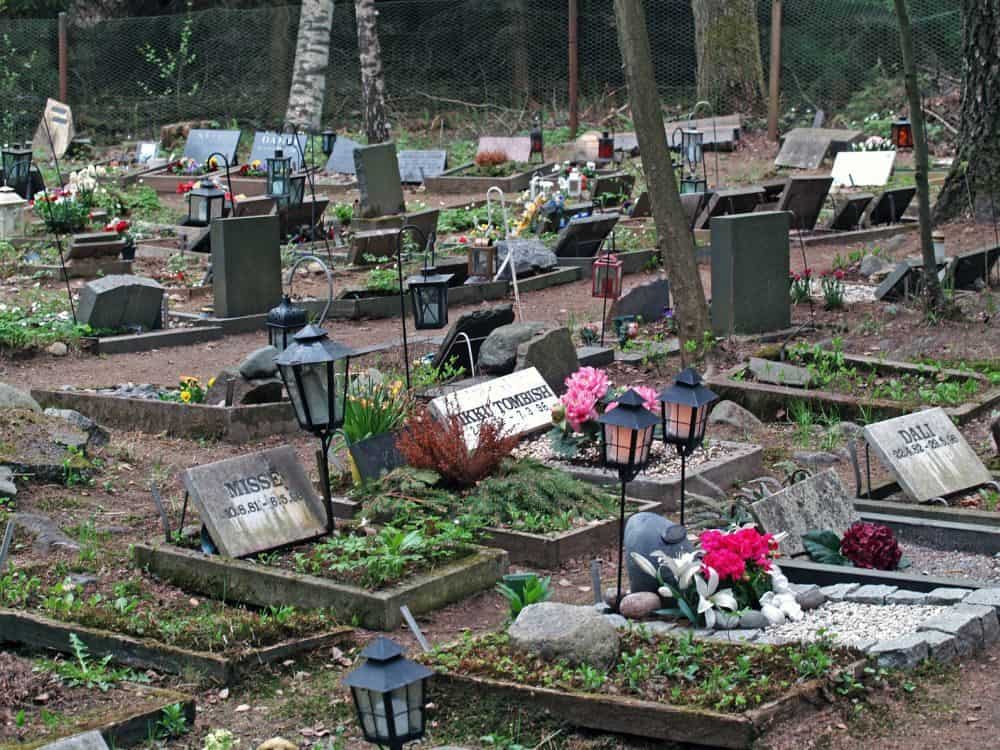 Den Boxer auf dem Tierfriedhof begraben.