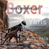 Amnesia vom Genroher Hof und Yaris vom Pfauenthron werden Eltern