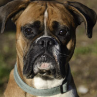Barney - TIERHEIM PADERBORN