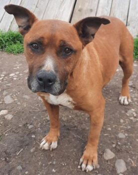 Miniaturansicht für das Anzeigenbild