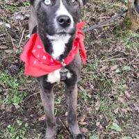 Aida, die Schöne, sucht eine liebe Familie