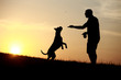 Hund und Herrchen als Silhouette bei Sonnenuntergang
